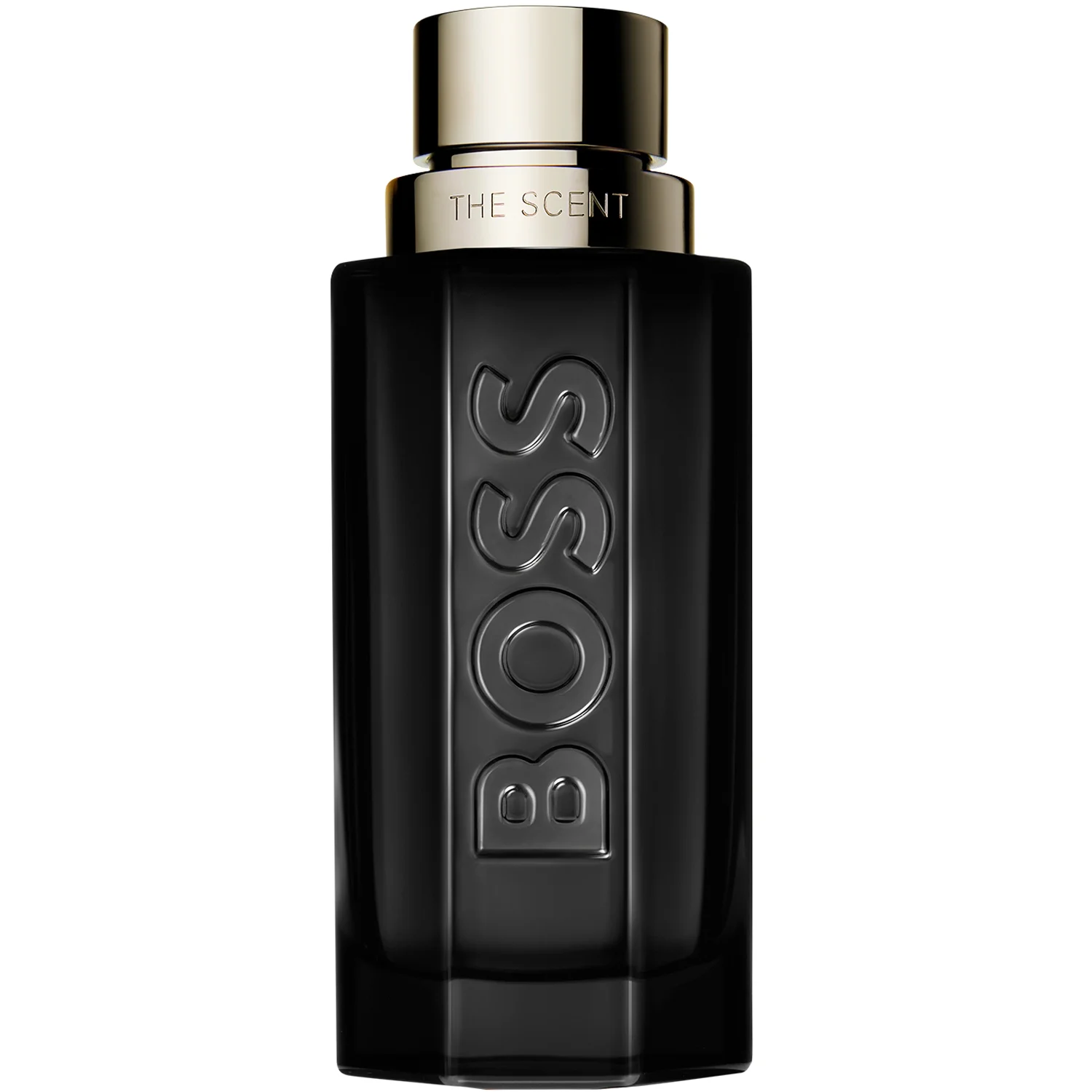 Hugo Boss The Scent Magnetic For Him Eau de Parfum 100 ml